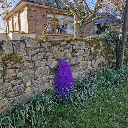 Farm House Cottage Vakantiehuis