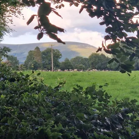 Farm House Cottage Baltinglass