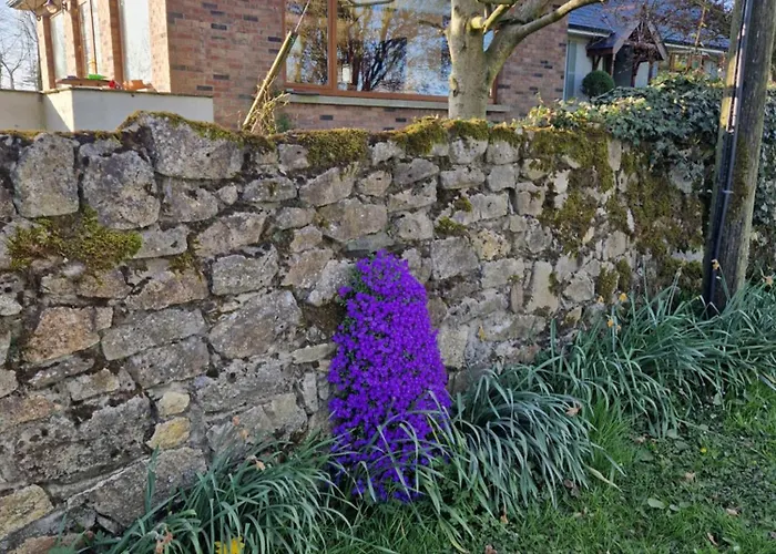 Farm House Cottage 펜션