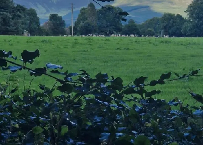 Farm House Cottage 펜션 *