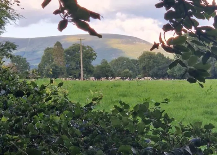 Farm House Cottage Baltinglass